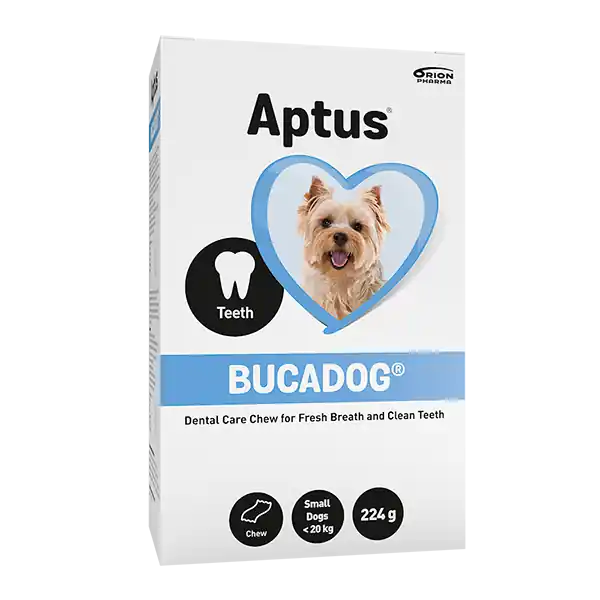 Bucadog Tuggbitar Rengöring Tänder & TandKött - Small Kampanjpris