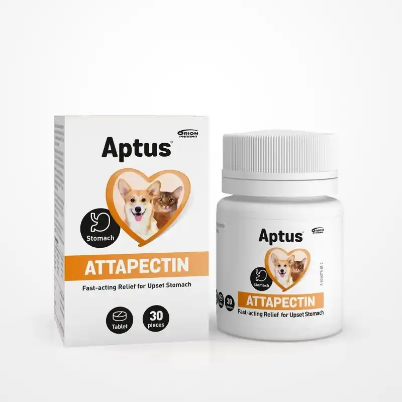 Utförsäljning Tarmstöd Orion Pharma Aptus Attapectin Tabletter 30st