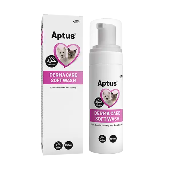 Derma Care Soft Wash - 150 ml Begränsat erbjudande