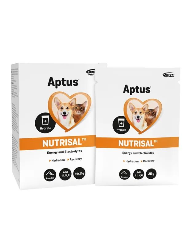 Vätskeersättning Aptus Nutrisal 10x25 g prisnedsättning