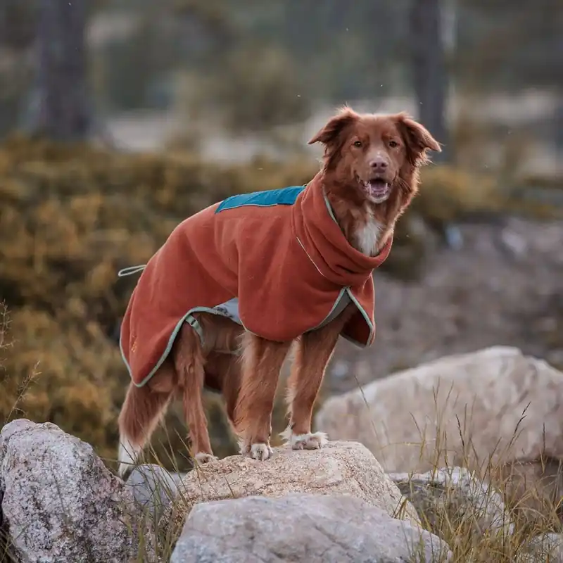 Woolly Wolf Alpha 360 Fleecetäcke Hund Ljusbrun Kundfavorit