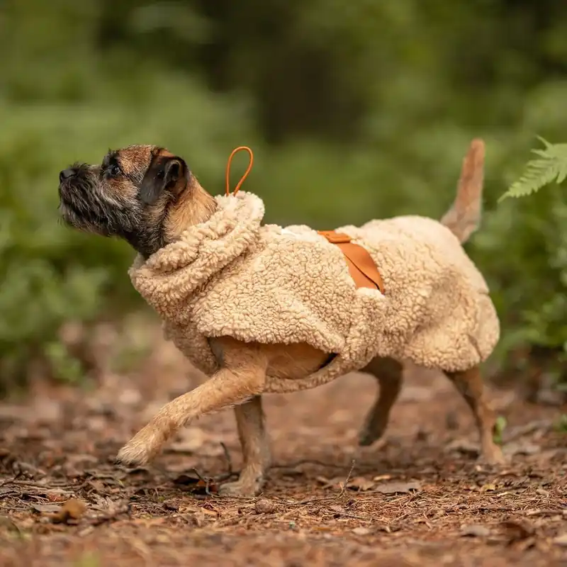 Bästa pris PAIKKA Sherpa Hundtröja Beige