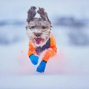 Non-stop Dogwear Long Distance Bootie 4 st Begränsat erbjudande