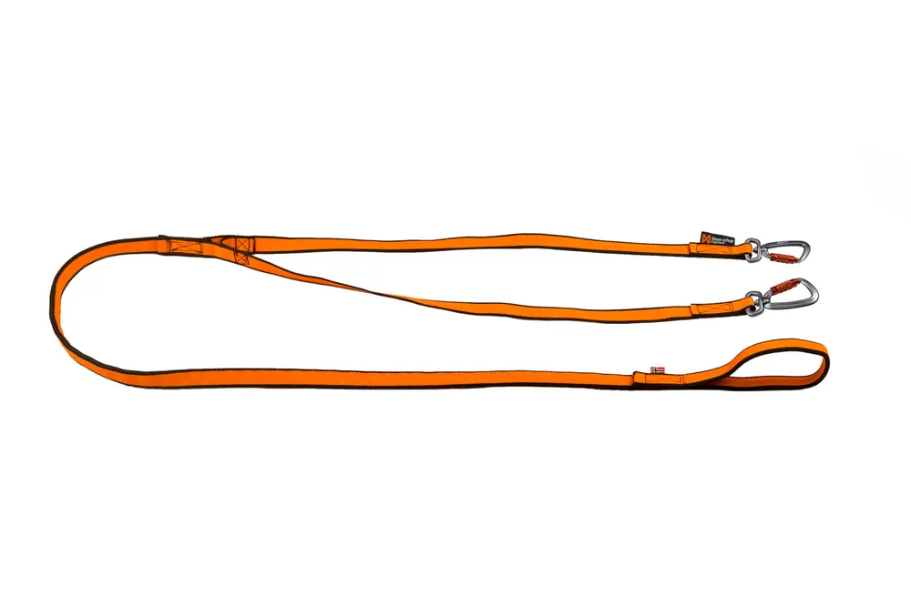 Begränsat erbjudande Bungee Hundkoppel Dubbel Orange One Size