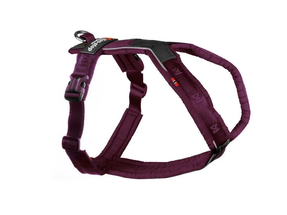 Non-stop Dogwear Line Harness 5.0 lila - Lila / 2.0 Extra rabatt