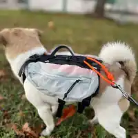 Sista chansen Trail Light Dog Backpack Hundryggsäck Grå