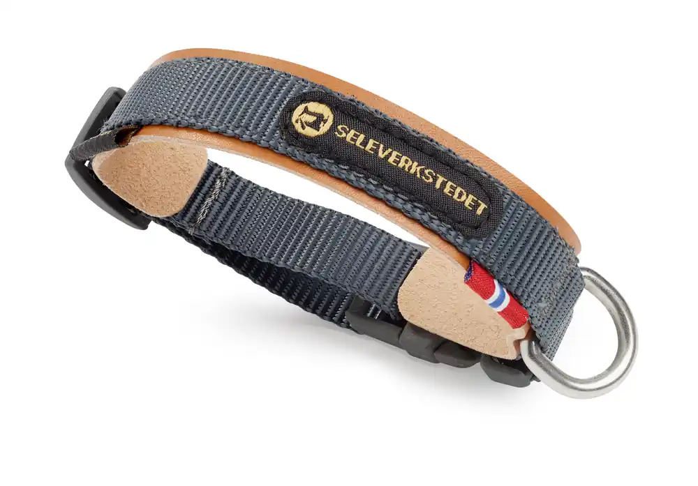 Secure Hundhalsband Grå XXS Rabatter