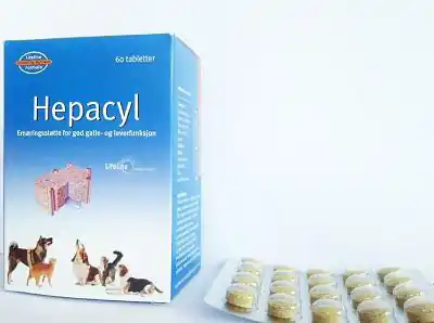 Snabb frakt Hepacyl Levertillskott - 60 kapslar