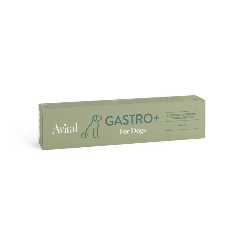 Köp nu Avital Gastro+ Kosttillskott för Hund