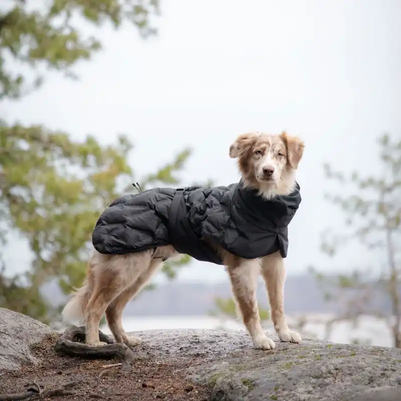 Lägg i varukorgen Feel Active Haga Parka Svart