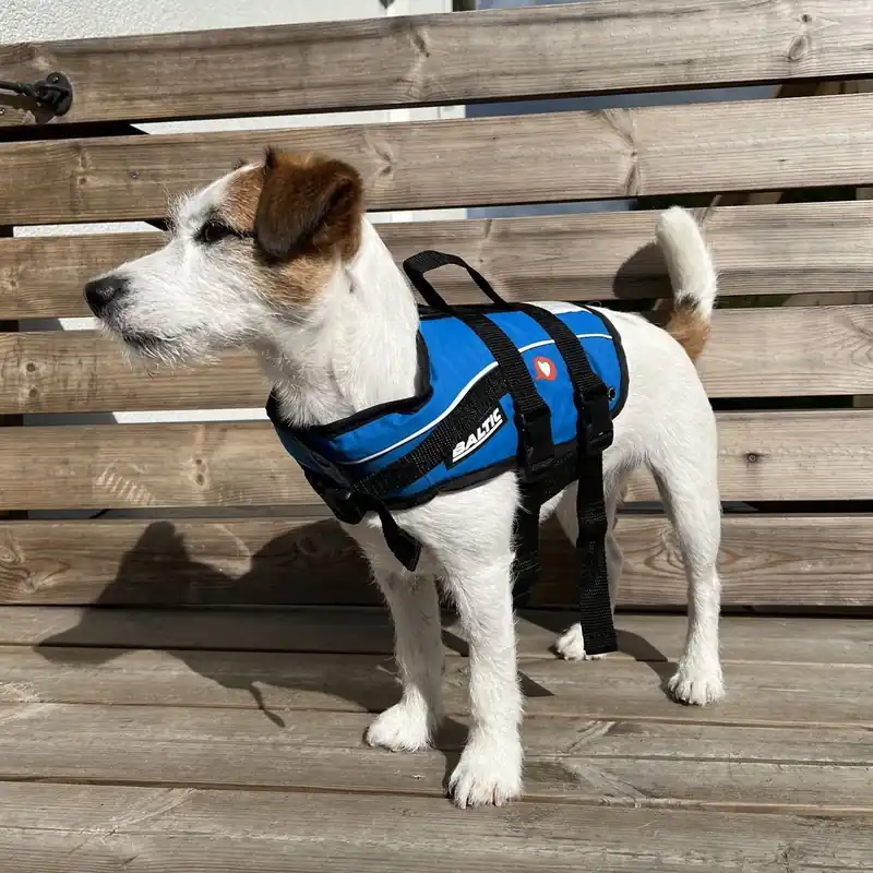Baltic Vetzoo Hundflytväst Blå Expressleverans