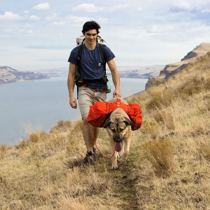 Ruffwear Palisades Klövjeväska Röd Nyhet