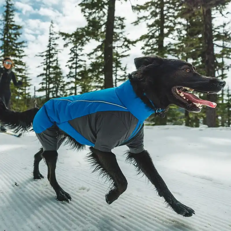 Reapris Ruffwear Vert Coverall Hundoverall Blå