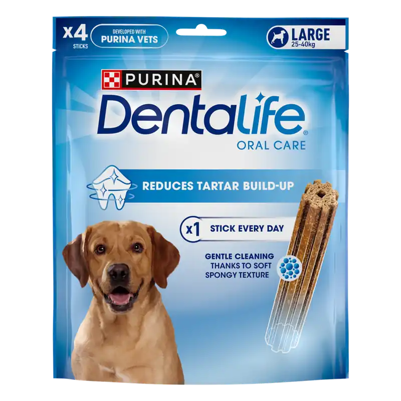Begränsad tid Tuggpinnar Purina Dentalife L Påse 4-pack