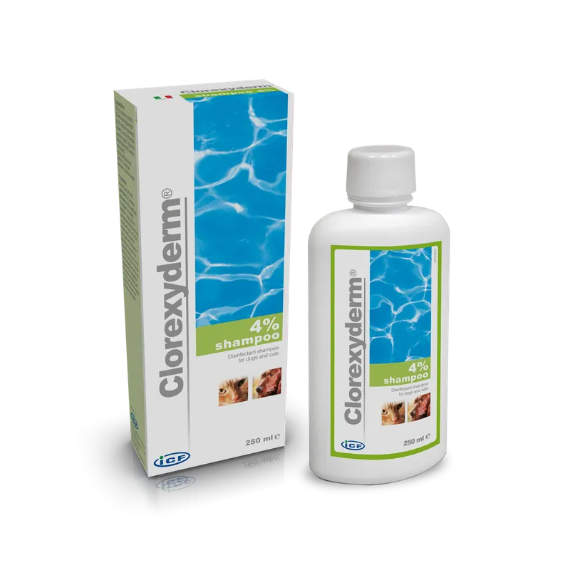 ICF Clorexyderm Schampo - 250 ml I lager