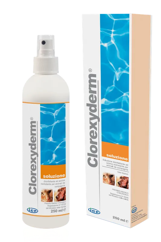 ICF Clorexyderm rengörande spray - 200 ml Snabb leverans