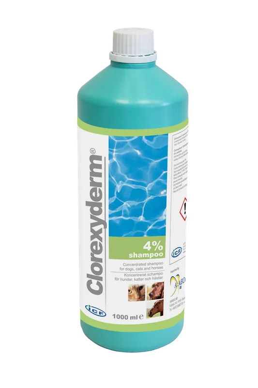 Expressleverans ICF Clorexyderm Schampo - 1 l