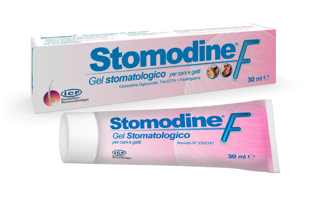 ICF Stomodine F oral gel daglig användning - 30 ml Expressleverans