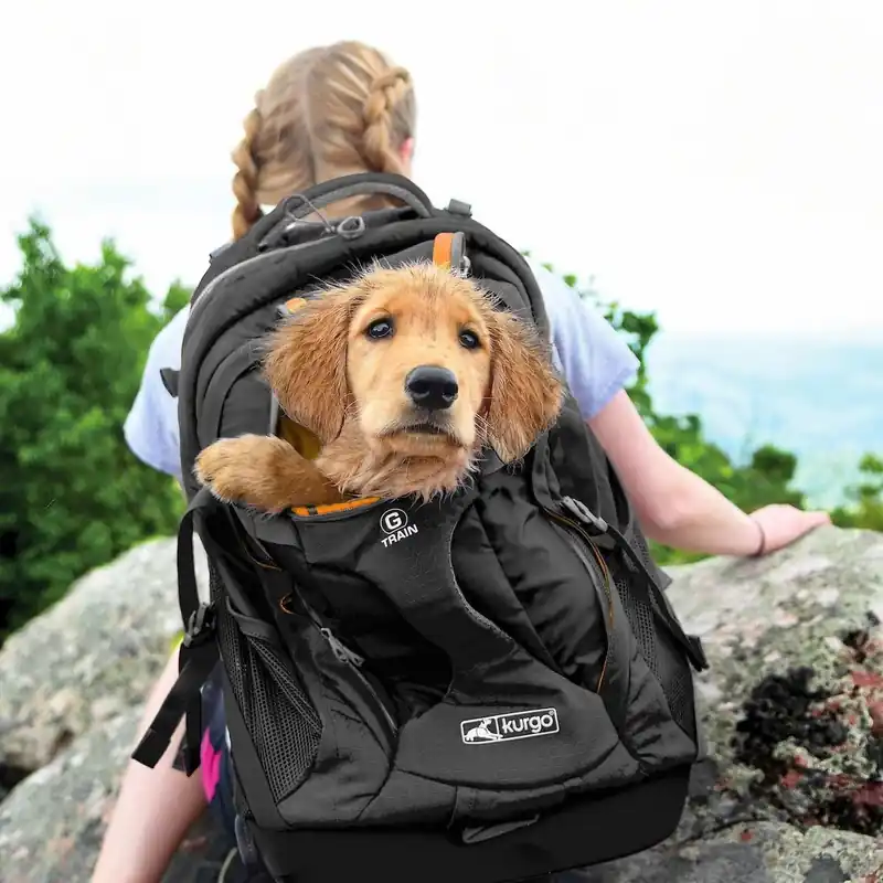 Kurgo G-Train K9 Pack Ryggsäck Kundfavorit