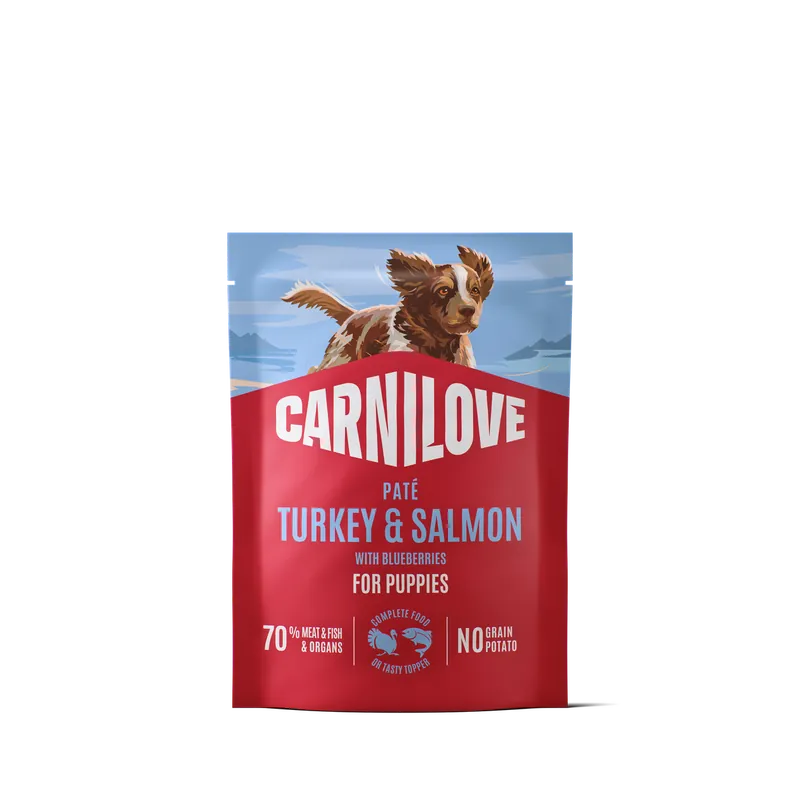 Fynd Pouch Paté Turkey & Salmon with Blueberries Våtfoder till Valp - 12 x 300 g