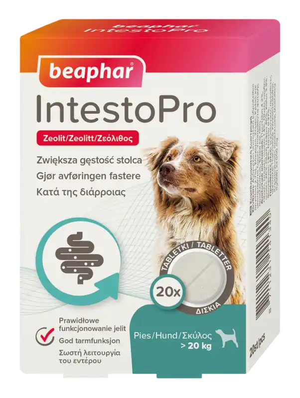 Erbjudandepris IntestoPro Tabletter Hund >20kg