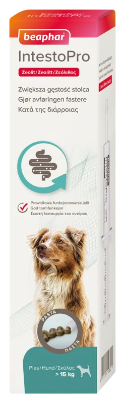 Bästa pris IntestoPro Pasta Hund