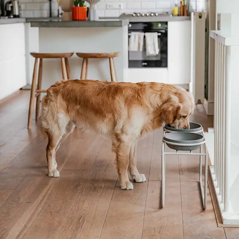 District 70 Butler Matbar Beige Begränsat erbjudande
