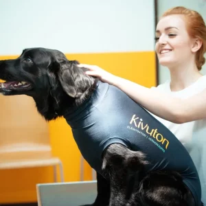 Medical Pet Shirt återhämtningströja för hundar S+ Billig