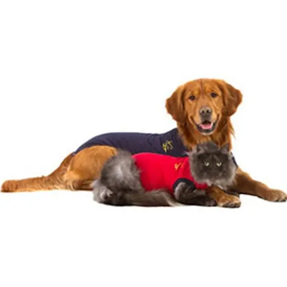 Operationsdräkt Medical PetShirt Hundbody Blå 2XL Köp nu