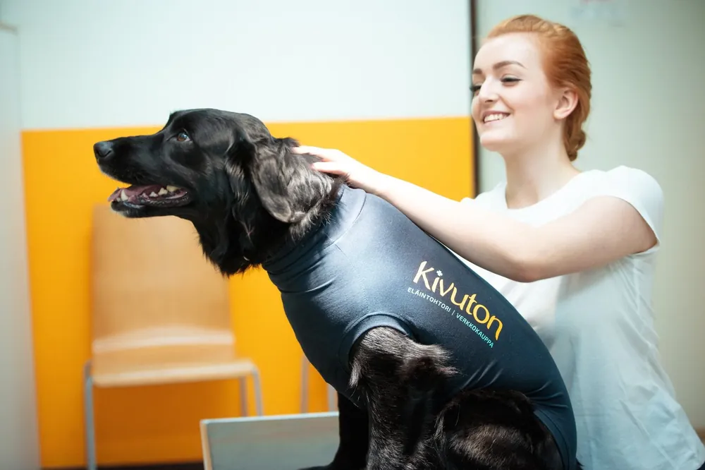 Medical Pet Shirt återhämtningströja för hundar M+ Extra rabatt