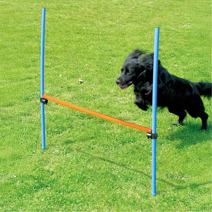 Agility Hinder Billig