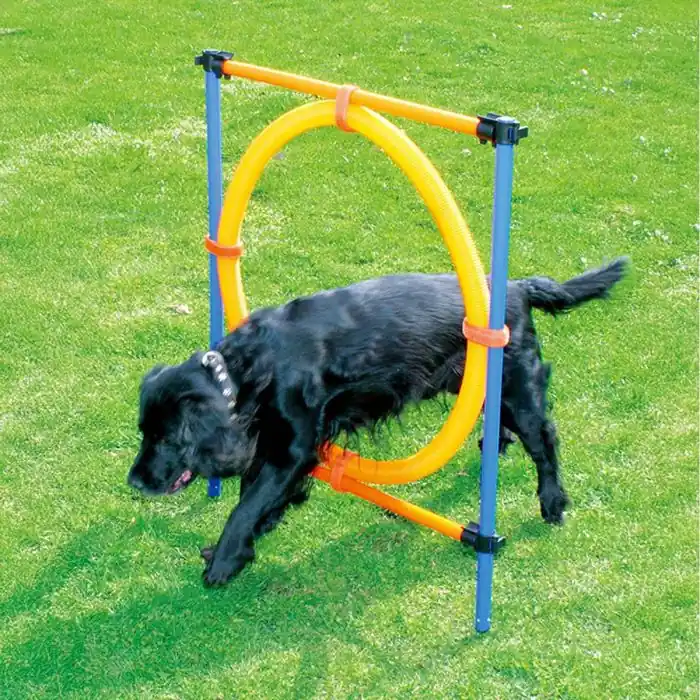Agility Hinder med Ring prisnedsättning