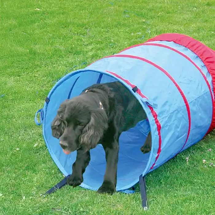Agility Tunnel Trygg betalning