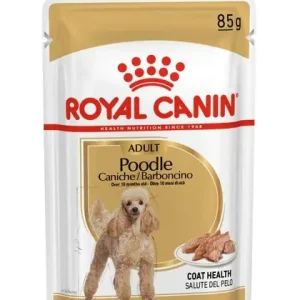 Expressleverans Royal Canin Poodle Adult 12 x 85 g för hundar