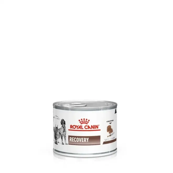 Gastrointestinal Recovery Ultra Soft Mousse In Can - hund & katt - 12 x 195 g Lågt pris