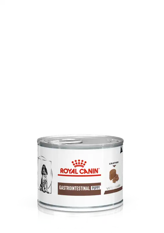 Utförsäljning Gastrointestinal Puppy Mousse Våtfoder för hund 195 g - Hund - Hundmat & hundfoder - Veterinärvåtfoder för hund - Royal Canin Veterinary Diets Dog - ZOO.se