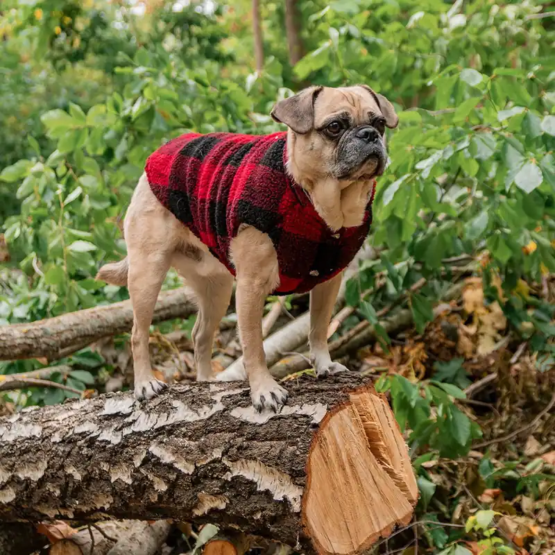 FuzzYard The Lumberjack Hundjacka Röd/Svart Billig