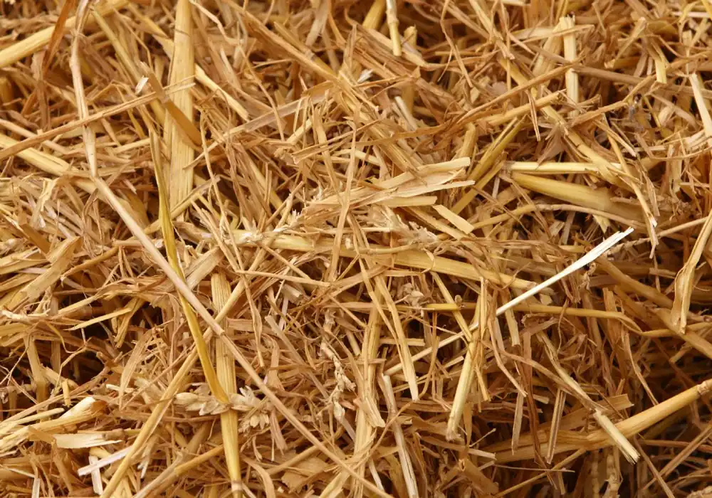 Nedsatt pris Närproducerad ekologisk halm ca 140L