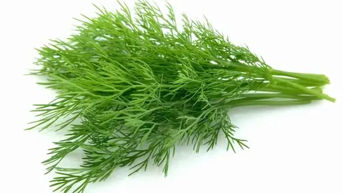 Dillstjälkar 100g Begränsat erbjudande