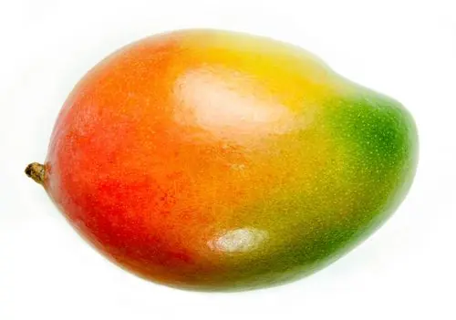 Begränsad tid Torkade Mango-bitar 100g