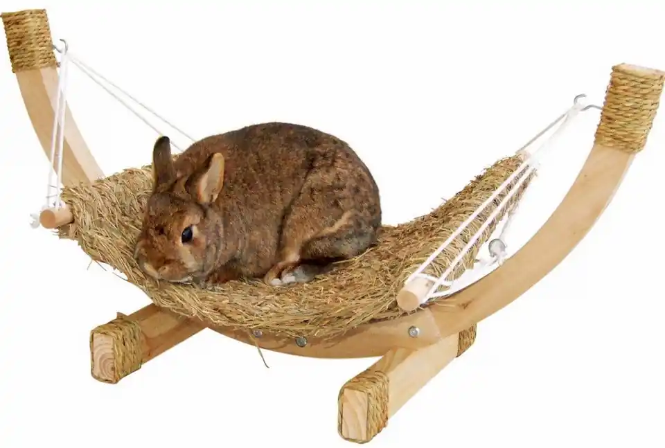 Köp nu Tropical Relaxation Hammock