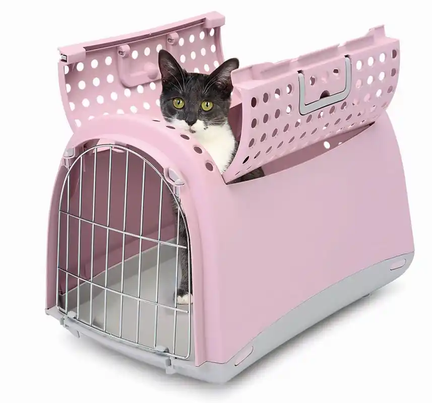 Transportbur Linus Open - Pink Shadow Sista chansen