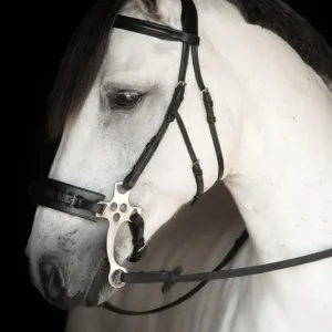 Begränsad tid Träns Chester Hackamore Lippo Supreme