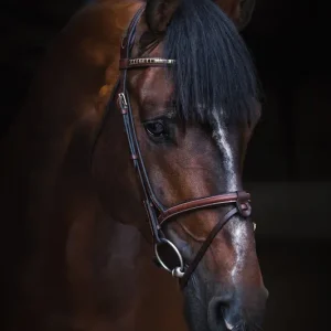 Träns Aachen California Jacson Expressleverans