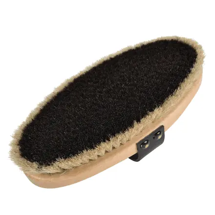 Beställ idag Ryktborste Tagel Ergonomisk Borstiq