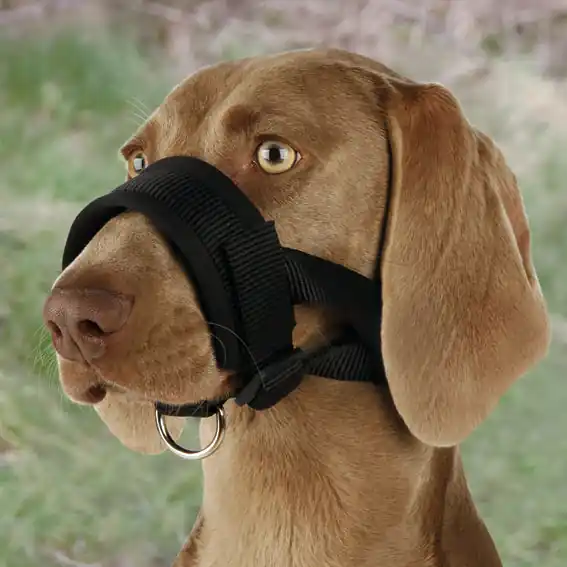 Erbjudande Nossele Nylon Trixie