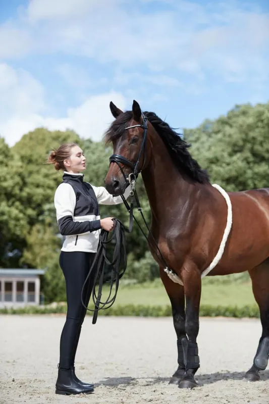 Erbjudande Longeringshjälp Soft HorseGuard