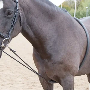Billig Longerhjälp Soft Lunging Aid Shires