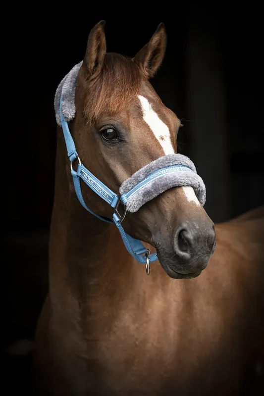 Fynd Grimma Unique Horse m. päls Källquist