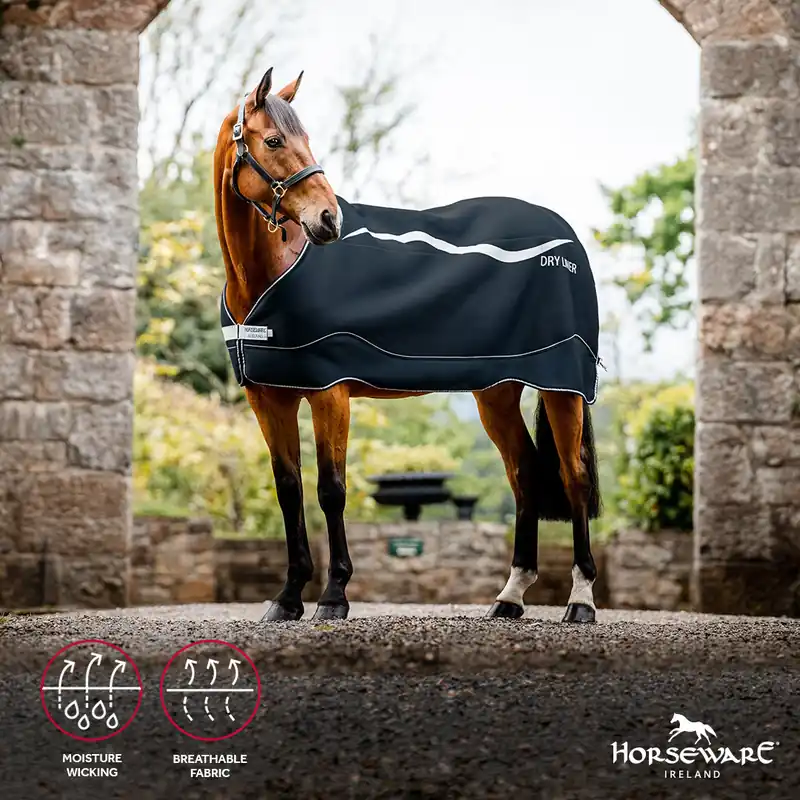 Endast idag Dry Liner Horseware